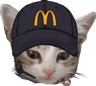 katmcdonalds