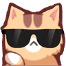 ze_catsunglasses