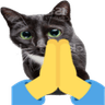 prayingcat