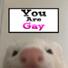 Straight_to_Gay