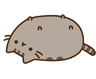 pusheen_19