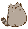 shook_pusheen