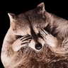 emoji_485