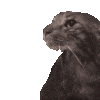 emoji_25