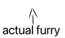 actualfurry