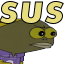 Sus_Angry