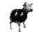 PolishCow