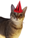 PartyCat