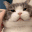 cutekitty