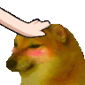 dogCheemsPat
