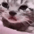 catcry4
