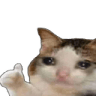 catcryok