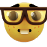 Nerd