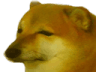 sad_dog