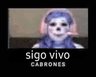 sigovivo