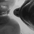 eating_pussy
