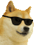 dogcheck