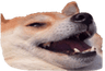 largekek