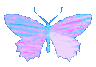 bluebutterflyholo