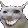 catwhasgud