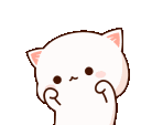 cute_cat