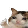 emoji_43