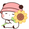 Flantic_bubupanda_sunflower