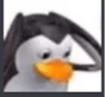 penguinwtf