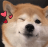 AxiLove