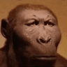 Monkei