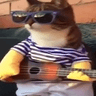 guitarragato