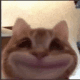 913334325850804236