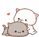 love_cat