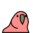 personaHeroParrot