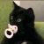 B_CatBaby