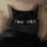 emoji_274
