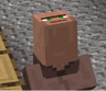 Villager_Head_Cursed