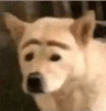 io