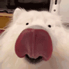 Lickylicky