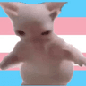 transbingus