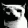 darkcat