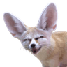 Fenlol