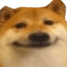 3539dogeface