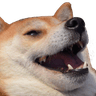 dogelaugh