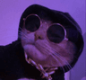 aestheticcat