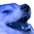 bluekekw