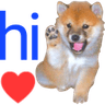 hi