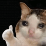 emoji_55