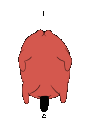 CSMPochitaSpin