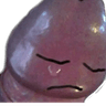 emoji_52